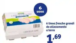 In'S Mercato 6 Uova fresche grandi da allevamento a terra offerta