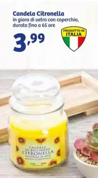 In'S Mercato Candela Citronella offerta