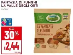 Pan Fantasia di funghi LA VALLE DEGLI ORTI offerta