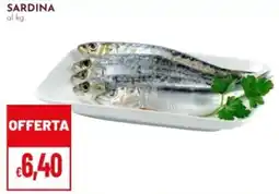 Pan Sardina offerta
