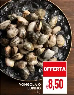 Pan Vongola o lupino offerta