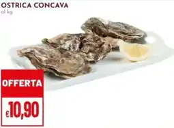 Pan Ostrica concava offerta