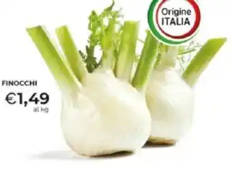 Mercatò Finocchi offerta