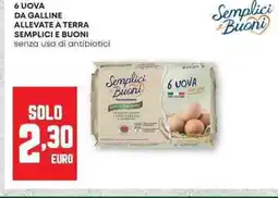 Pam 6 uova da galline allevate a terra semplici e buoni senza uso di antibiotici offerta