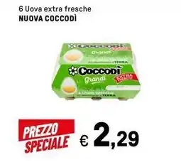 6 Uova extra fresche NUOVA COCCODÌ