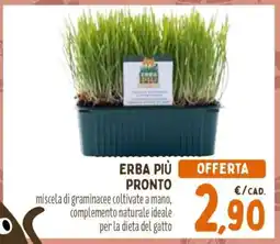 Conad ERBA PIÙ PRONTO offerta