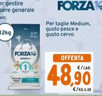 Conad FORZA10 Medium Adult offerta