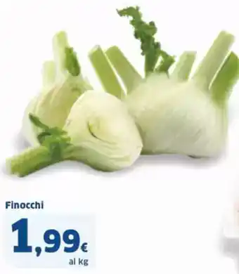 Sigma Finocchi offerta