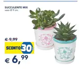 Esselunga SUCCULENTE MIX offerta