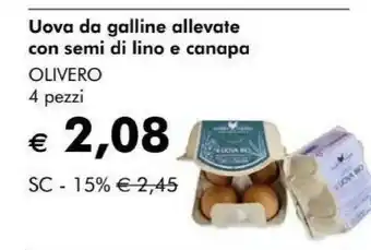 NaturaSì Olivero uova da galline allevate con semi di lino e canapa offerta