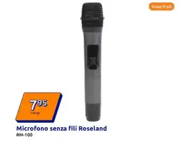 Action Microfono senza fili roseland RM 100 offerta