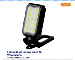 Action Lampada da lavoro senza fili werckmann 40-450 lumen | offerta