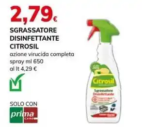 Basko Sgrassatore disinfettante CITROSIL offerta