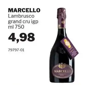 GrosMarket MARCELLO Lambrusco grand cru igp offerta
