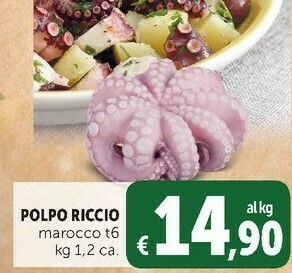 Deco Supermercati Polpo riccio offerta