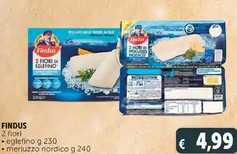 Deco Supermercati 2 fiori di merluzzo nordico 240 g offerta