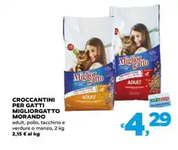 Coop CROCCANTINI PER GATTI MIGLIORGATTO MORANDO offerta