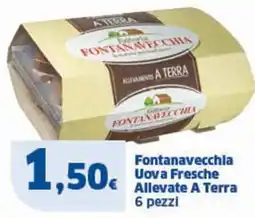 Sigma Fontanavecchia Uova Fresche Allevate A Terra offerta