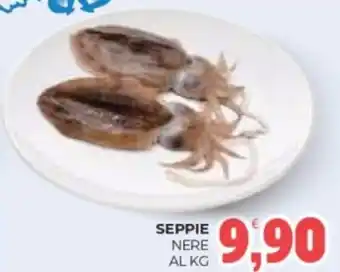Eté Seppie nere offerta