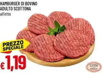 Galassia Hamburger di bovino adulto scottona offerta