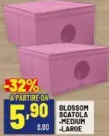 Risparmio Casa Blossom scatola -medium offerta