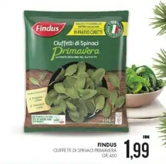Al Discount Findus Ciuffetti Di Spinaci Primavera 450 gr offerta