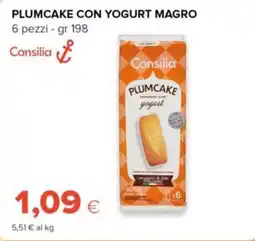 Tigre Consilia plumcake con yogurt magro offerta