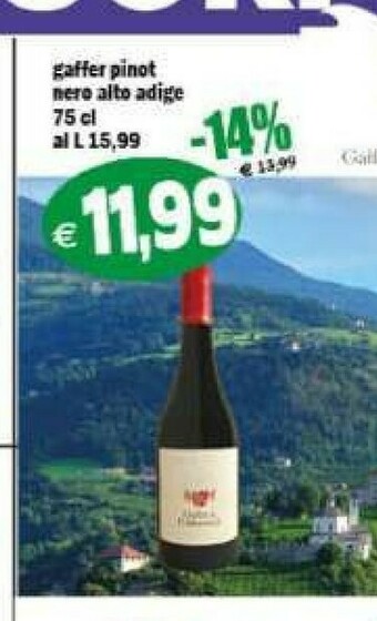 Il Castoro Supermercati Vino offerta
