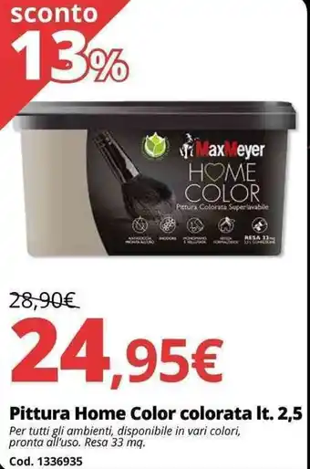 MaxMeyer Pittura Home Color colorata lt. 2,5