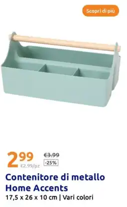 Action Contenitore di metallo offerta
