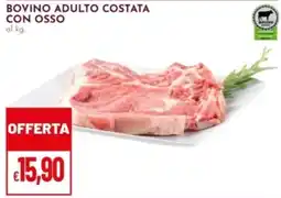 Pan Bovino adulto costata con osso offerta