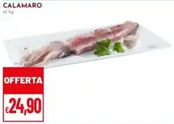 Pan Calamaro offerta