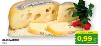 Oasi Maasdammer offerta