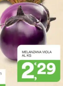 Sisa Melanzana viola offerta