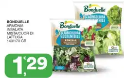 Sisa Bonduelle armonia insalata mista/cuor di lattuga offerta