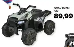 Quad boxer 12v