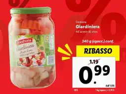 Lidl Freshona Giardiniera offerta