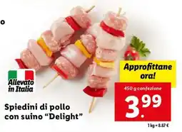 Lidl Spiedini di pollo con suino “Delight” offerta