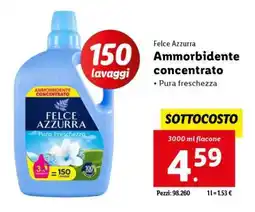 Lidl Felce Azzurra Ammorbidente concentrato offerta