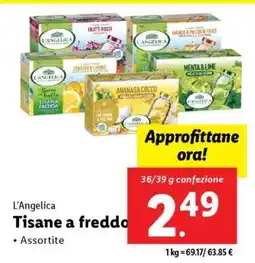 Lidl L'Angelica Tisane a freddo offerta