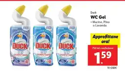 Lidl Duck WC Gel offerta