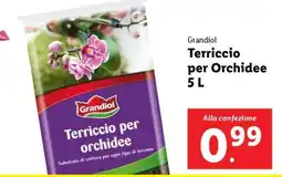 Lidl Grandiol Terriccio per Orchidee 5 L offerta