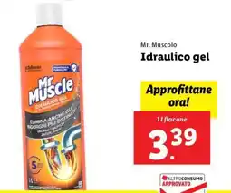 Lidl Mr. Muscolo Idraulico Gel offerta