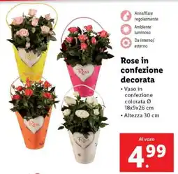 Lidl Rose in confezione decorata offerta