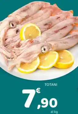 Conad Totani offerta