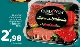 Conad Fragole candonga basilicata offerta