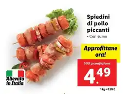 Lidl Spiedini di pollo piccanti offerta