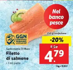 Lidl Filetto di Salmone offerta
