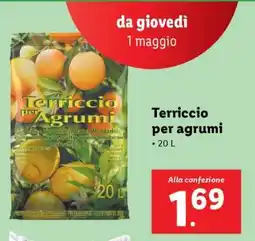 Lidl Terriccio per agrumi offerta