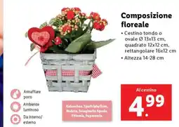 Lidl Composizione floreale offerta